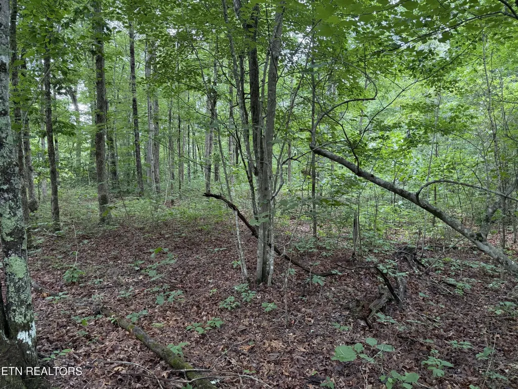 0 Icy Cove Trail Monterey TN 38574