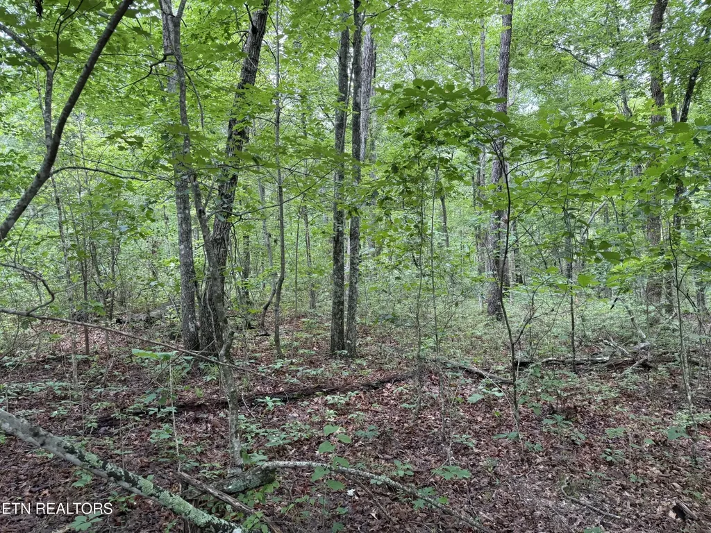 0 Icy Cove Trail Monterey TN 38574
