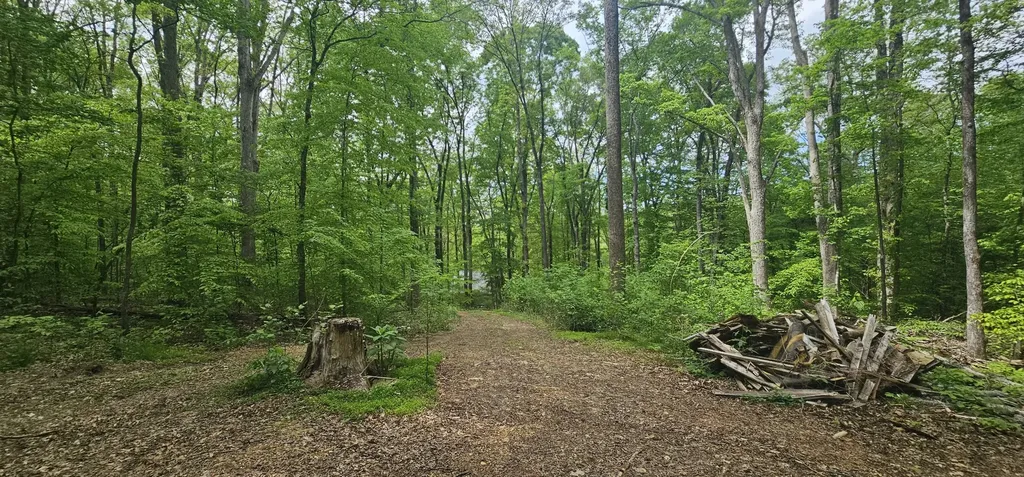2225 Caney Branch Road Stewart TN 37175