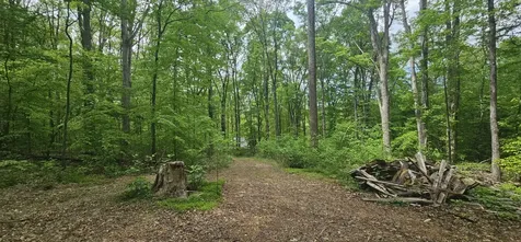2225 Caney Branch Road Stewart TN 37175