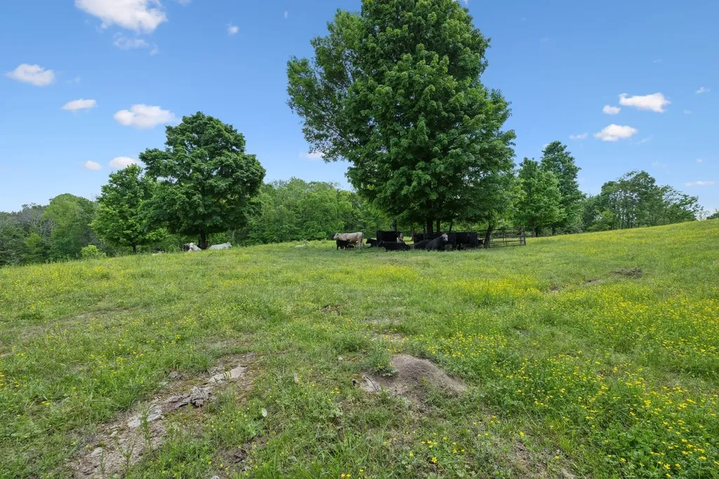 1494 Grant Road Watertown TN 37184