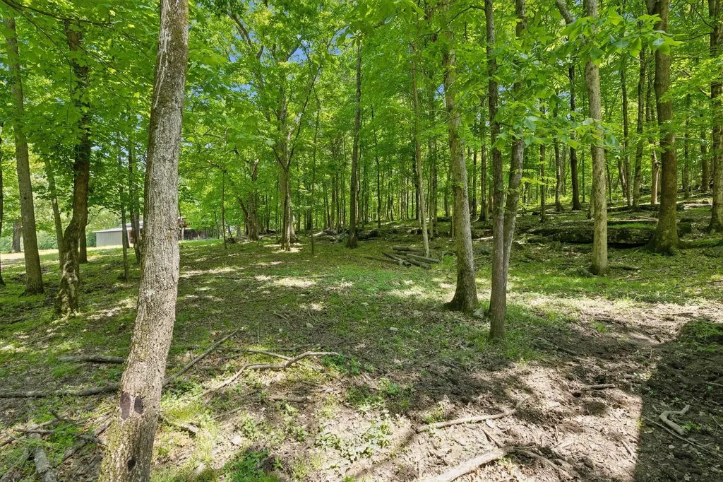 1494 Grant Road Watertown TN 37184