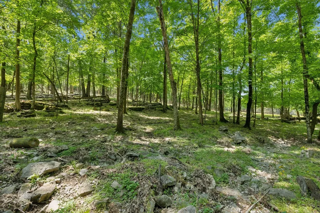 1494 Grant Road Watertown TN 37184