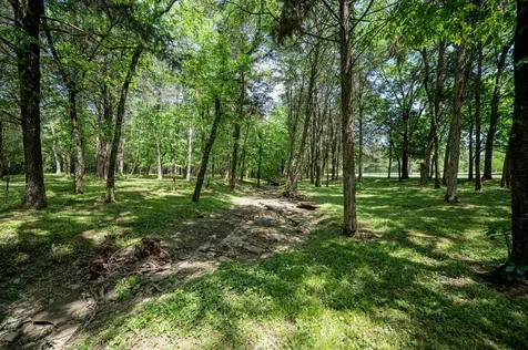 109 Fentress Court Rockvale TN 37153