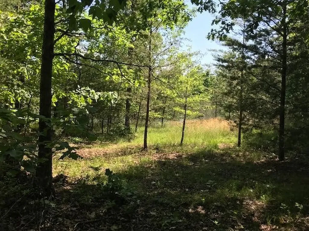100 Bluff View Drive Dunlap TN 37327