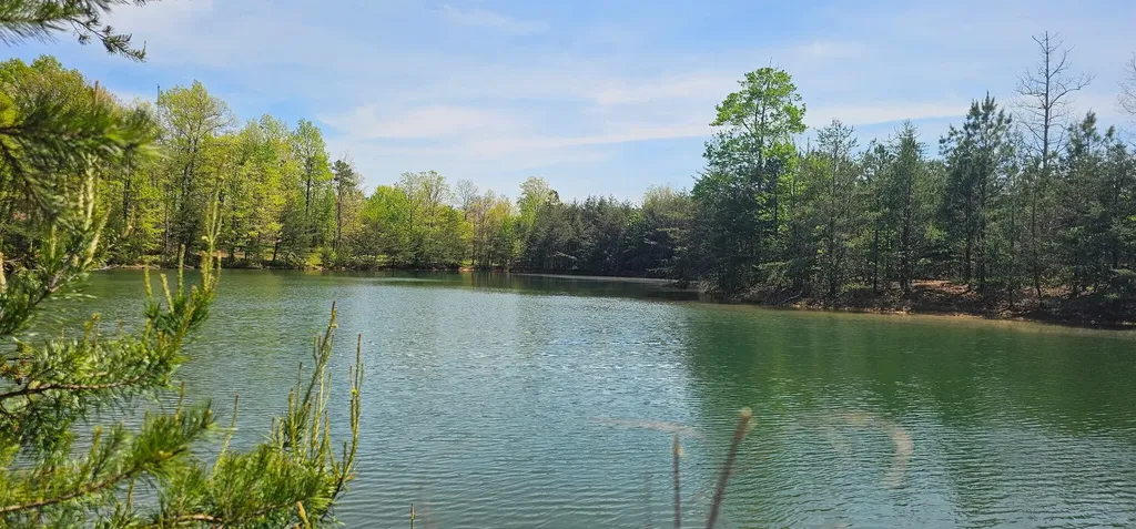100 Bluff View Drive Dunlap TN 37327