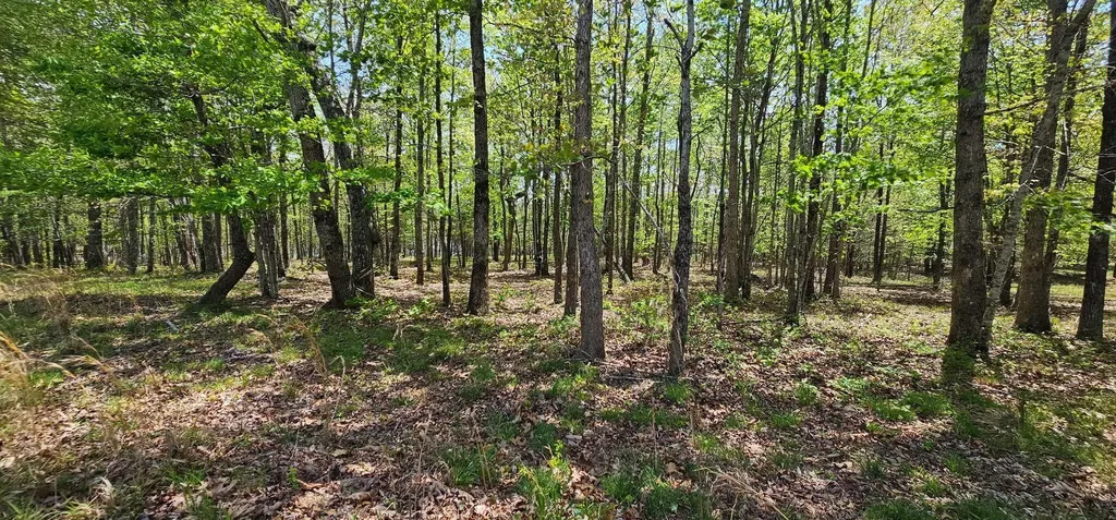 100 Bluff View Drive Dunlap TN 37327