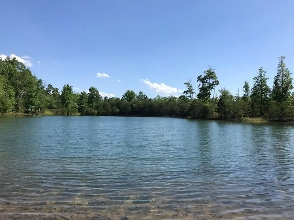 100 Bluff View Drive Dunlap TN 37327