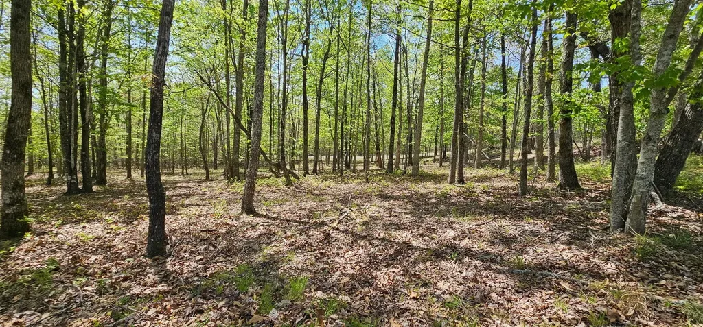 100 Bluff View Drive Dunlap TN 37327