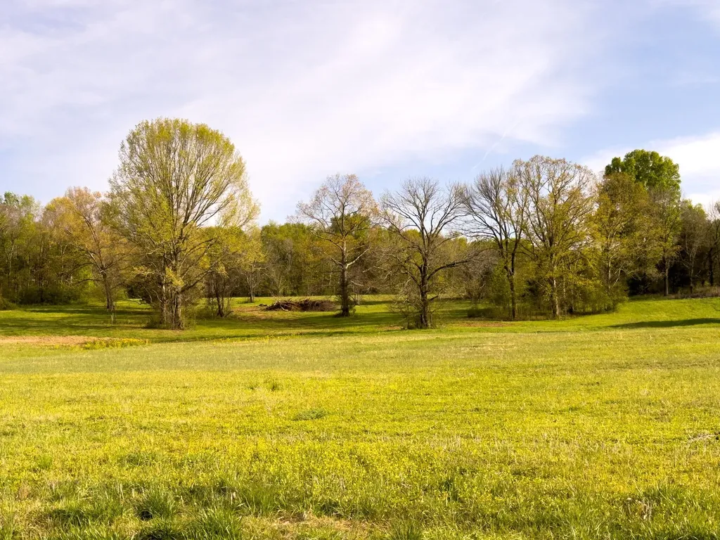 5 Corinth Road Mount Juliet TN 37122