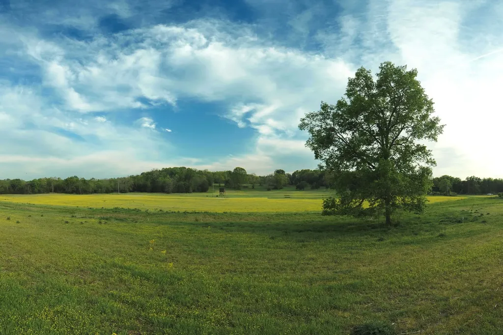 5 Corinth Road Mount Juliet TN 37122