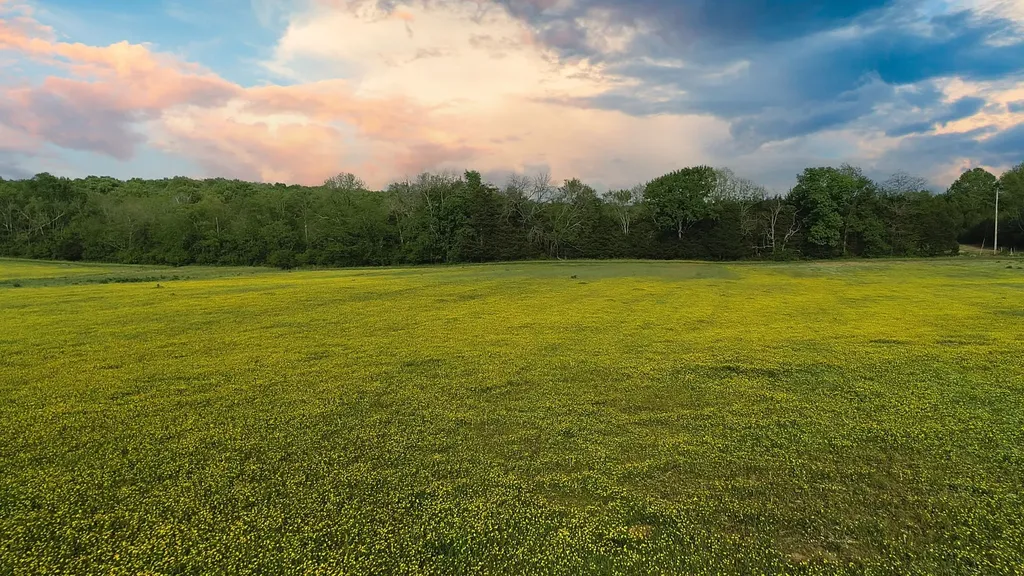 6 Corinth Road Mount Juliet TN 37122