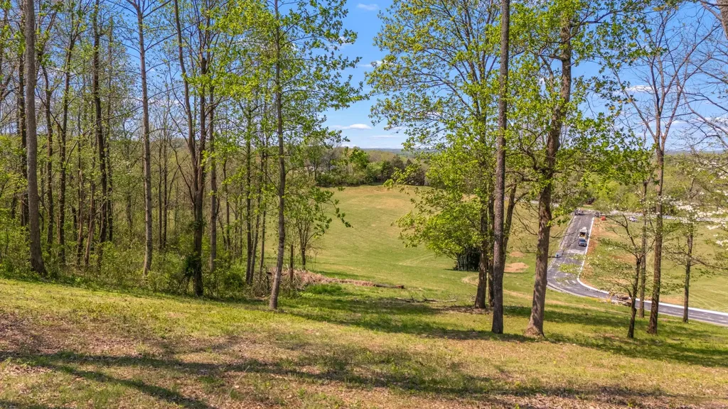 0 Whiteside Hill Road Wartrace TN 37183
