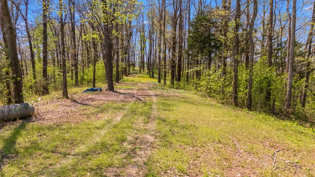 0 Whiteside Hill Road Wartrace TN 37183