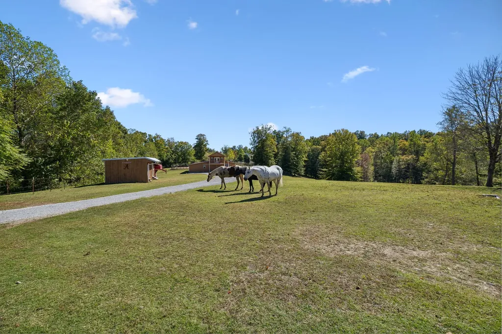 4325 Cave Springs Road Columbia TN 38401