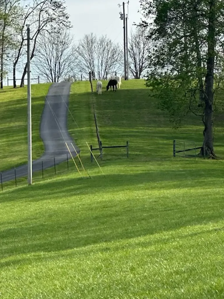4325 Cave Springs Road Columbia TN 38401