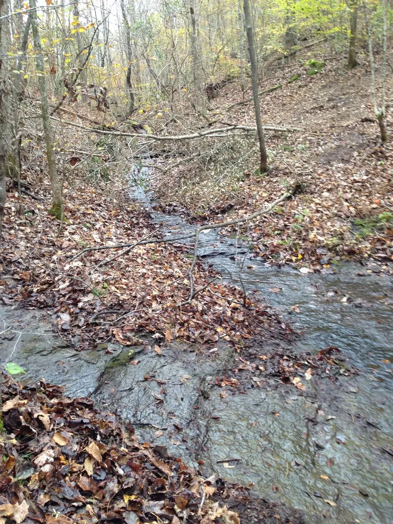 4325 Cave Springs Road Columbia TN 38401