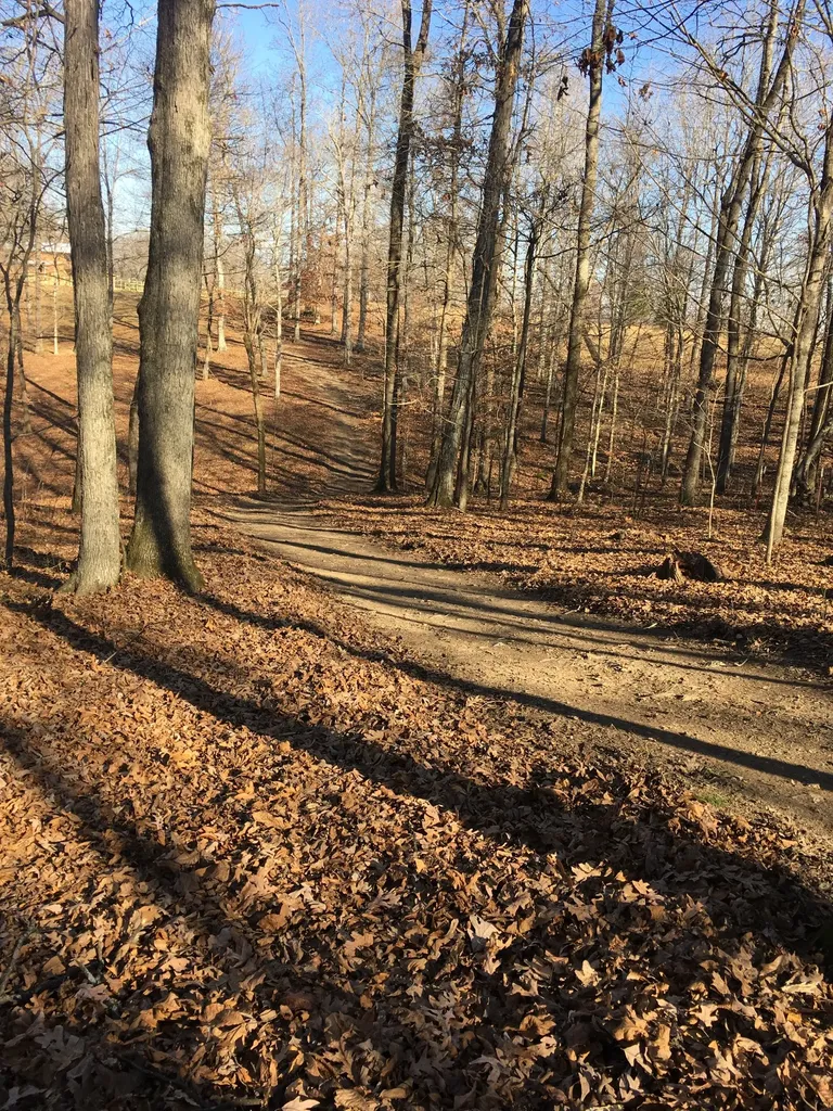 4325 Cave Springs Road Columbia TN 38401
