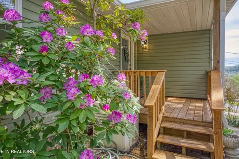 7822 Fersner Road Powell TN 37849