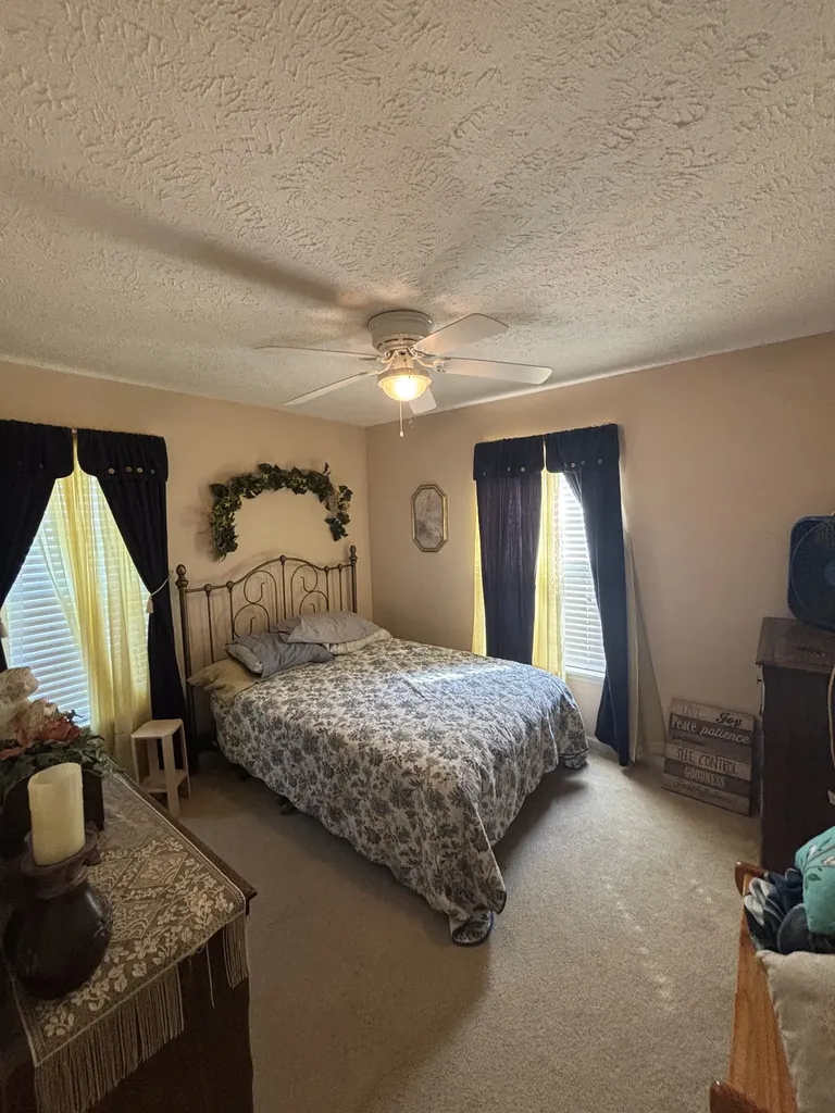 206 Dreaden Street Waverly TN 37185