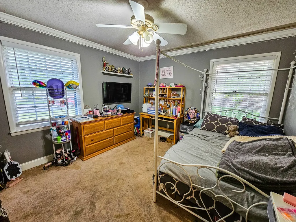 206 Hilltop Drive Shelbyville TN 37160