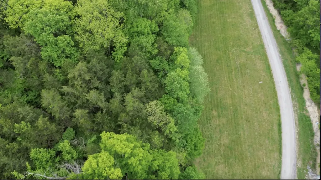 0 Hackett Hollow Lane Pleasant Shade TN 37145