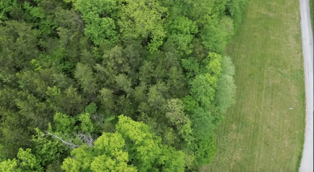 0 Hackett Hollow Lane Pleasant Shade TN 37145