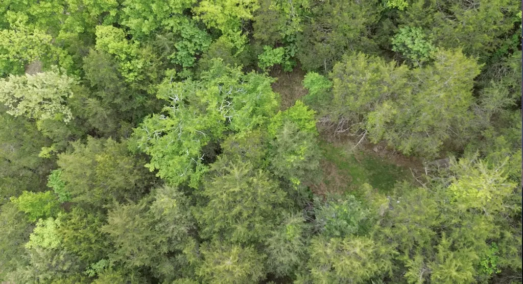 0 Hackett Hollow Lane Pleasant Shade TN 37145