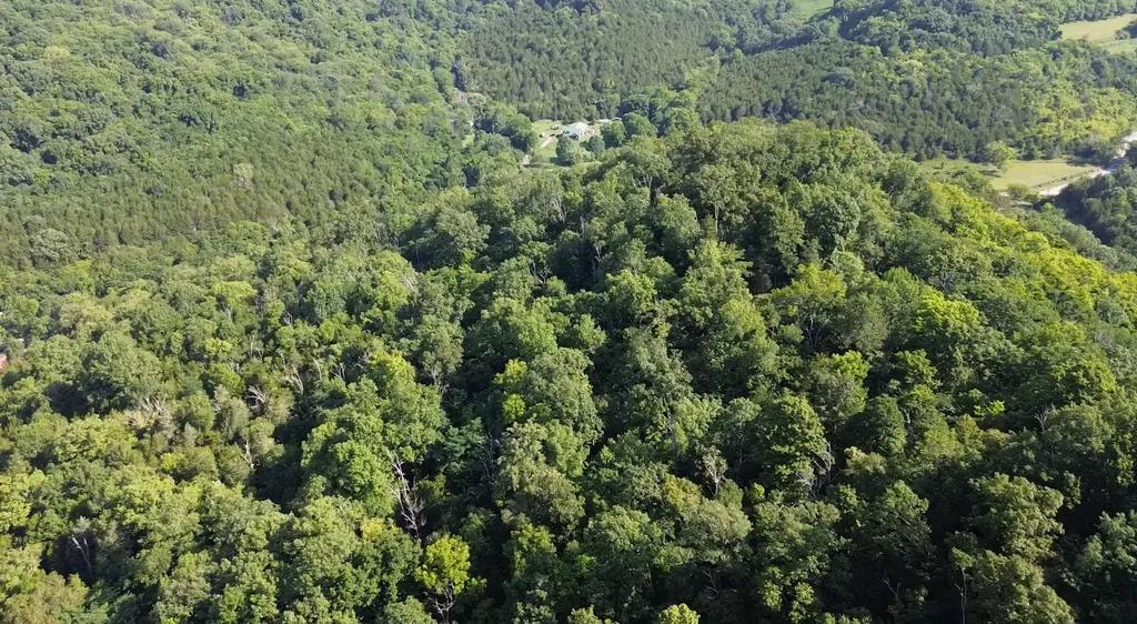 0 Hackett Hollow Lane Pleasant Shade TN 37145