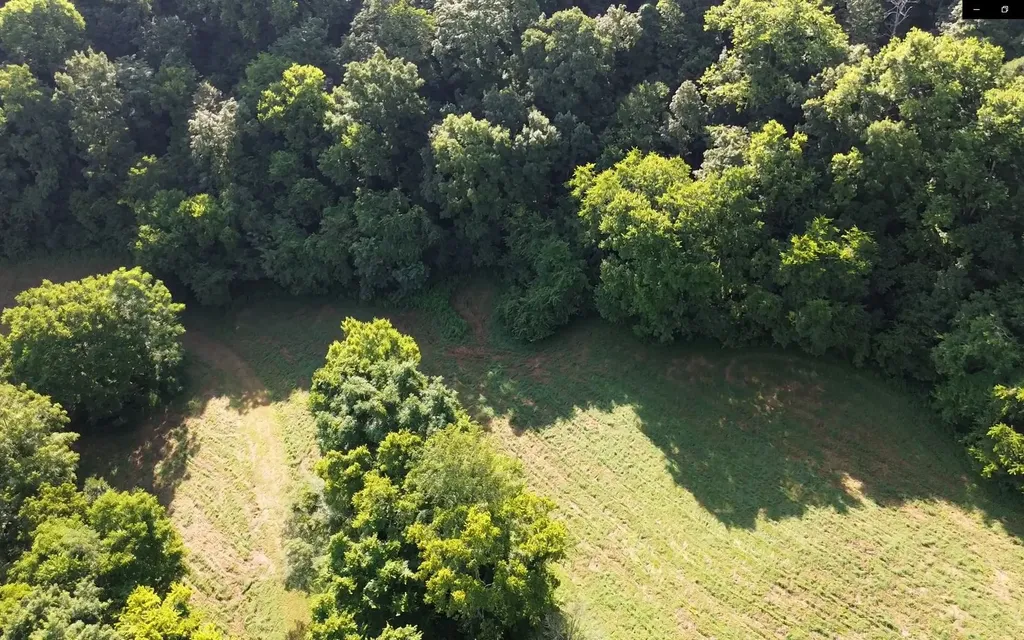 0 Hackett Hollow Lane Pleasant Shade TN 37145