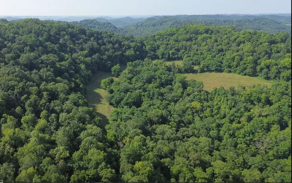0 Hackett Hollow Lane Pleasant Shade TN 37145