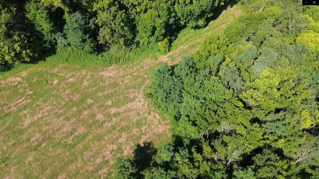 0 Hackett Hollow Lane Pleasant Shade TN 37145