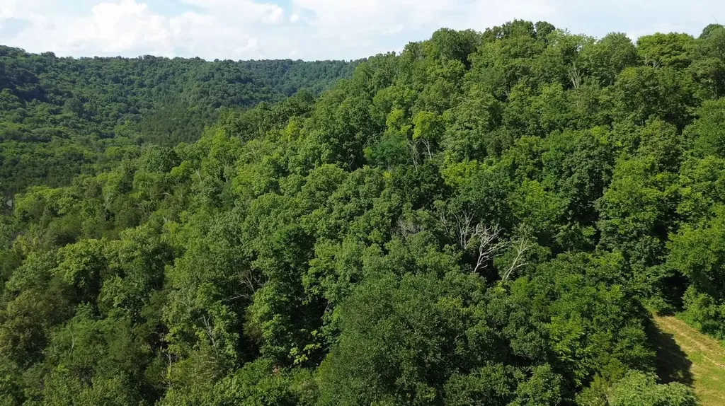 0 Hackett Hollow Lane Pleasant Shade TN 37145