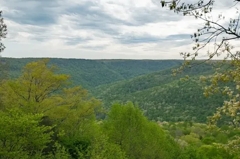 1927 Laurel Lake Drive Monteagle TN 37356