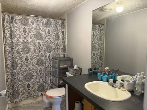 257 Milky Way Drive Pulaski TN 38478