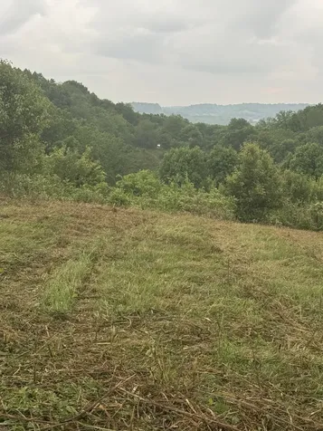 257 Milky Way Drive Pulaski TN 38478