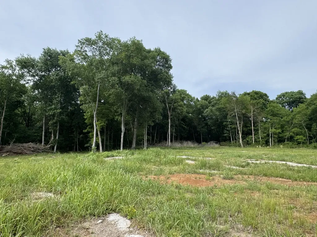 0 Old Nashville Dirt Road Shelbyville TN 37160