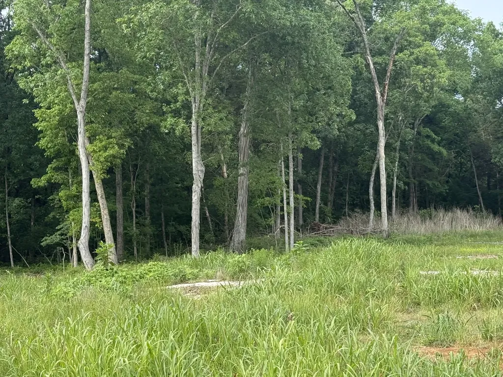 0 Old Nashville Dirt Road Shelbyville TN 37160