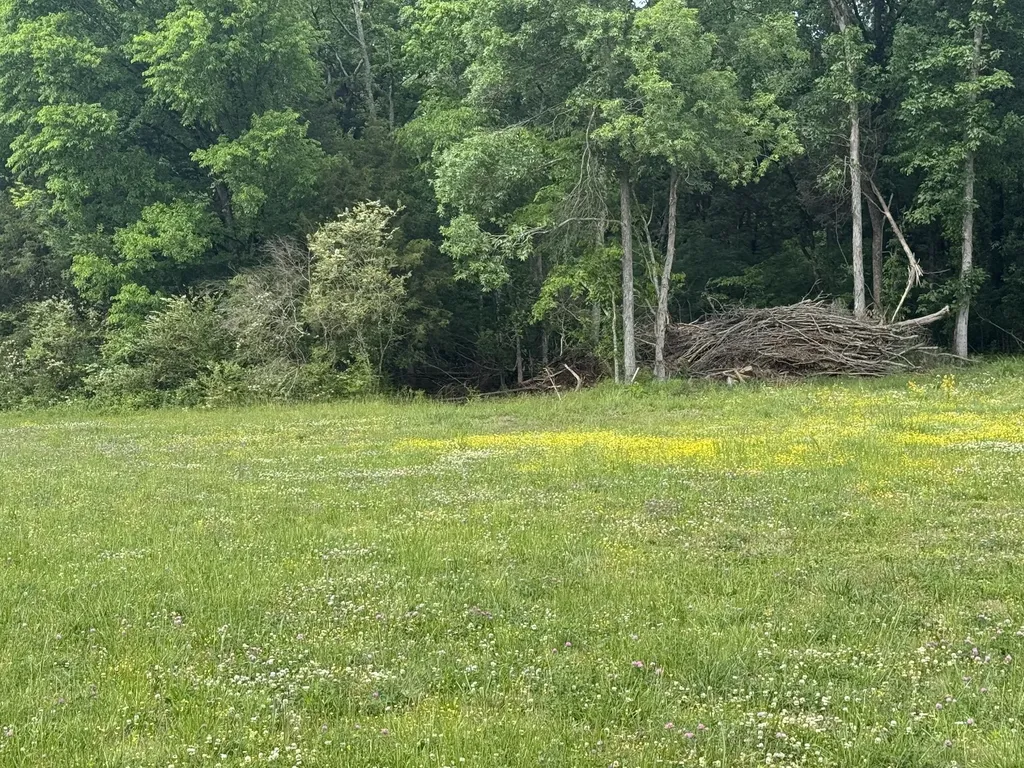 0 Old Nashville Dirt Road Shelbyville TN 37160