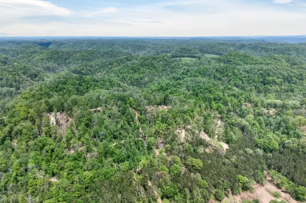 360 Long Hollow Lane Gainesboro TN 38562