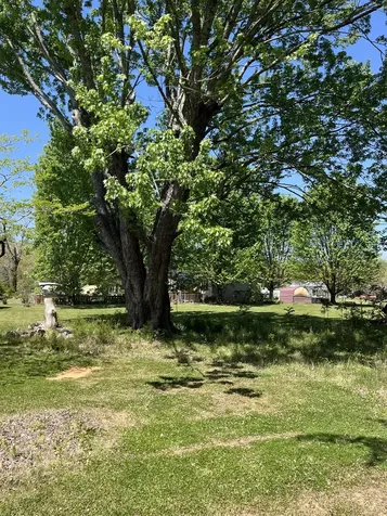 107 6th Street Monteagle TN 37356