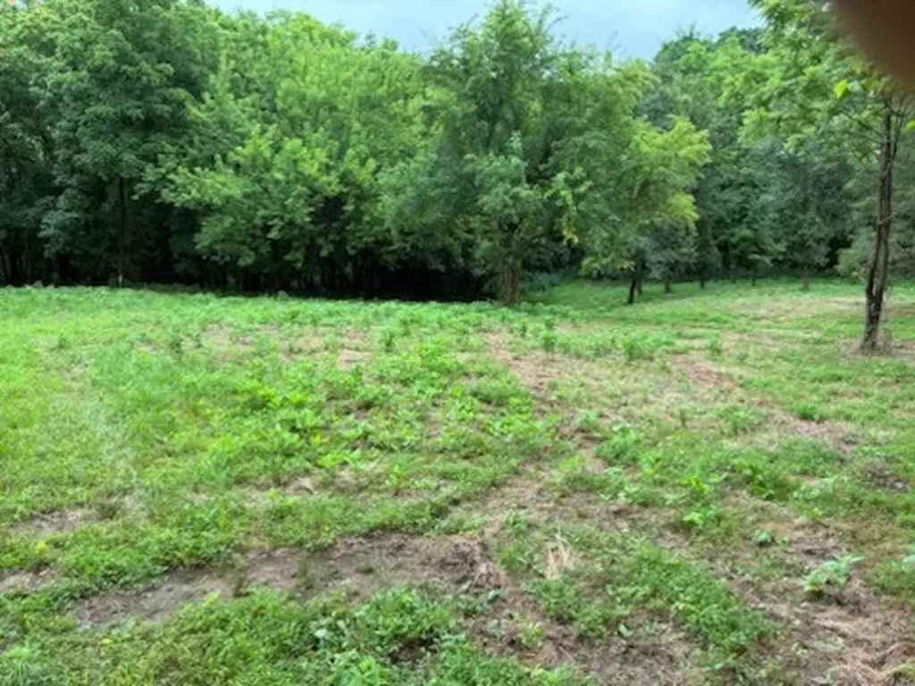 0 Murphy Lane Culleoka TN 38451