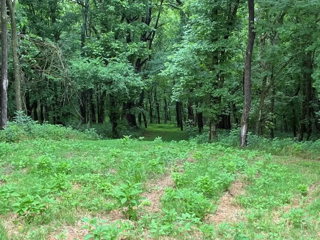 0 Murphy Lane Culleoka TN 38451