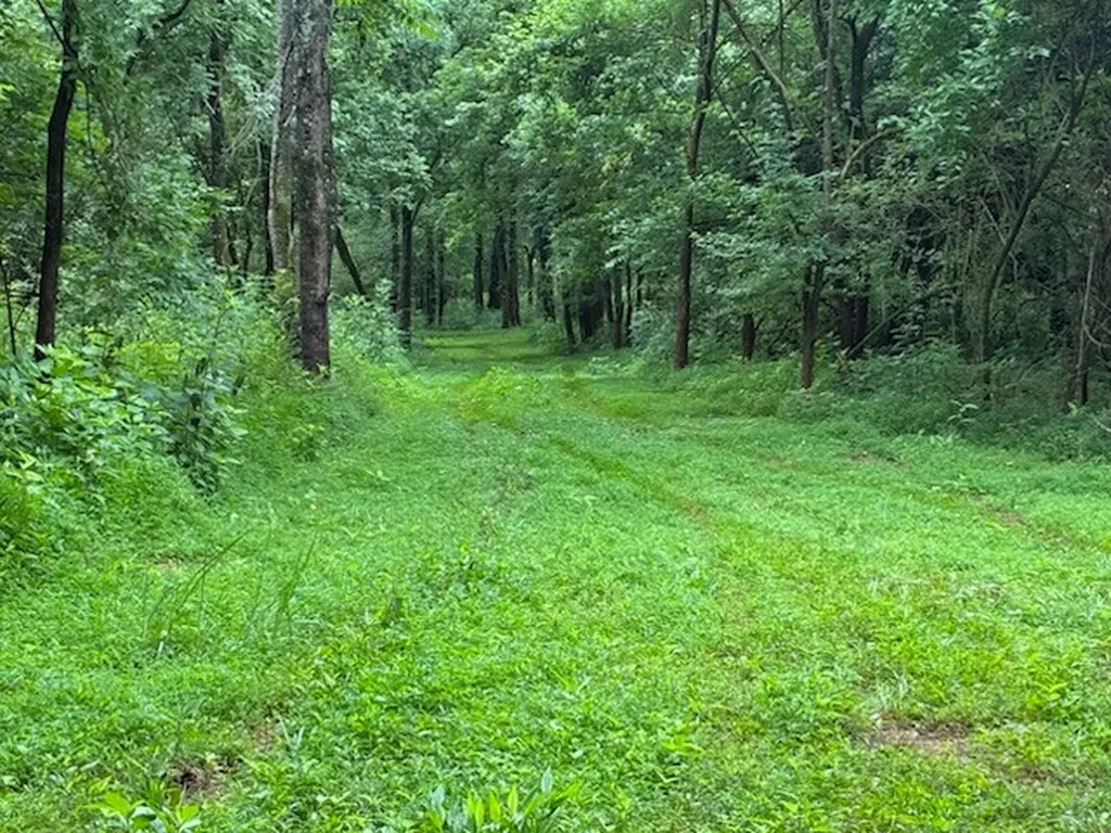 0 Murphy Lane Culleoka TN 38451