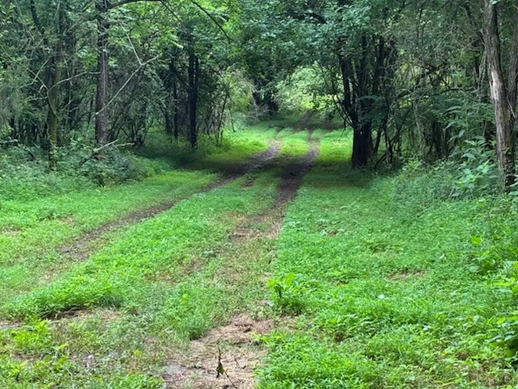 0 Murphy Lane Culleoka TN 38451