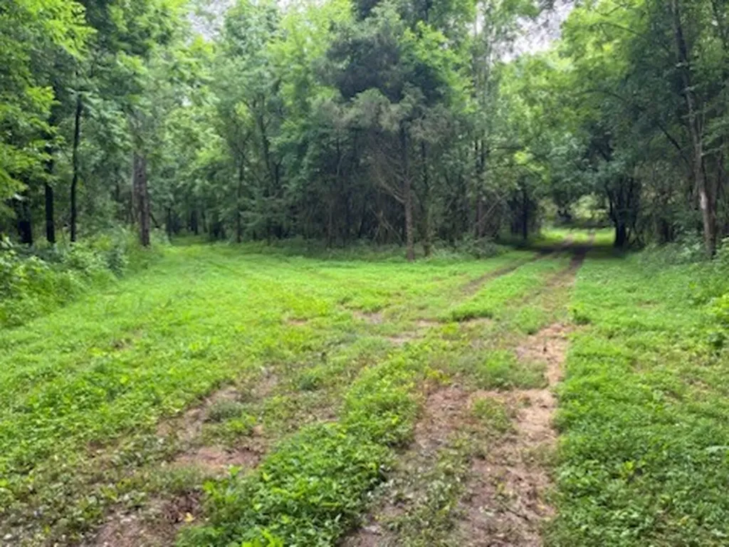 0 Murphy Lane Culleoka TN 38451