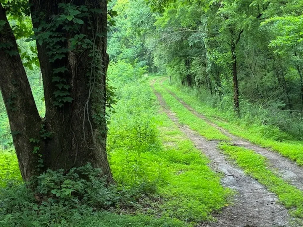 0 Murphy Lane Culleoka TN 38451