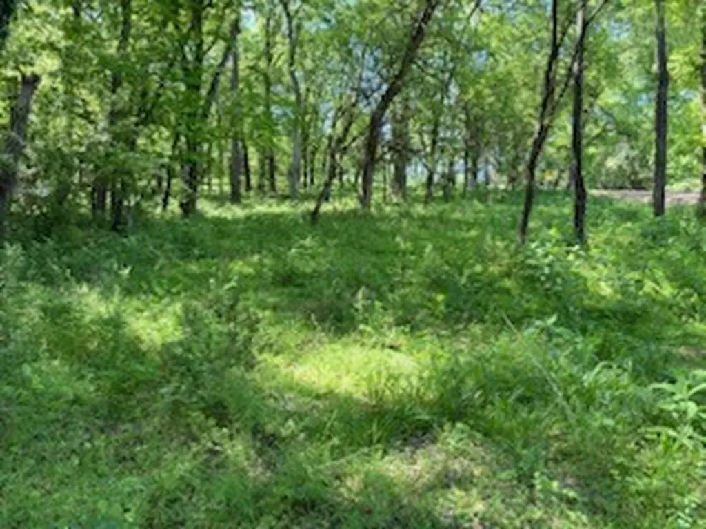 0 Murphy Lane Culleoka TN 38451