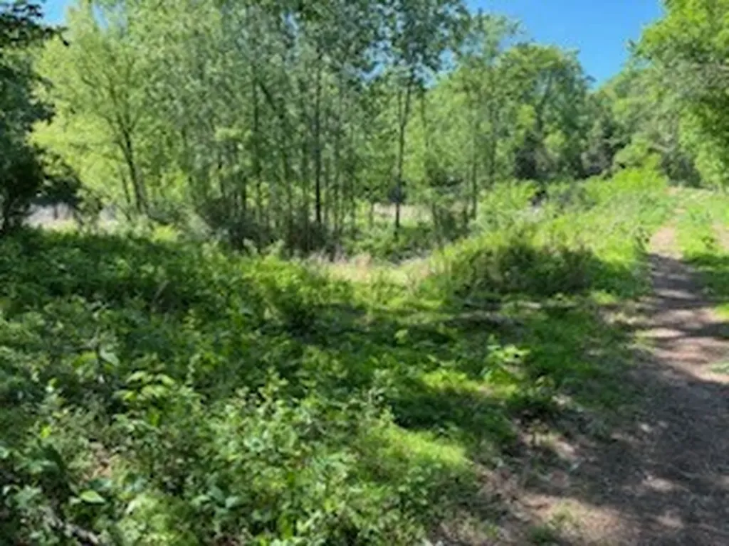 0 Murphy Lane Culleoka TN 38451