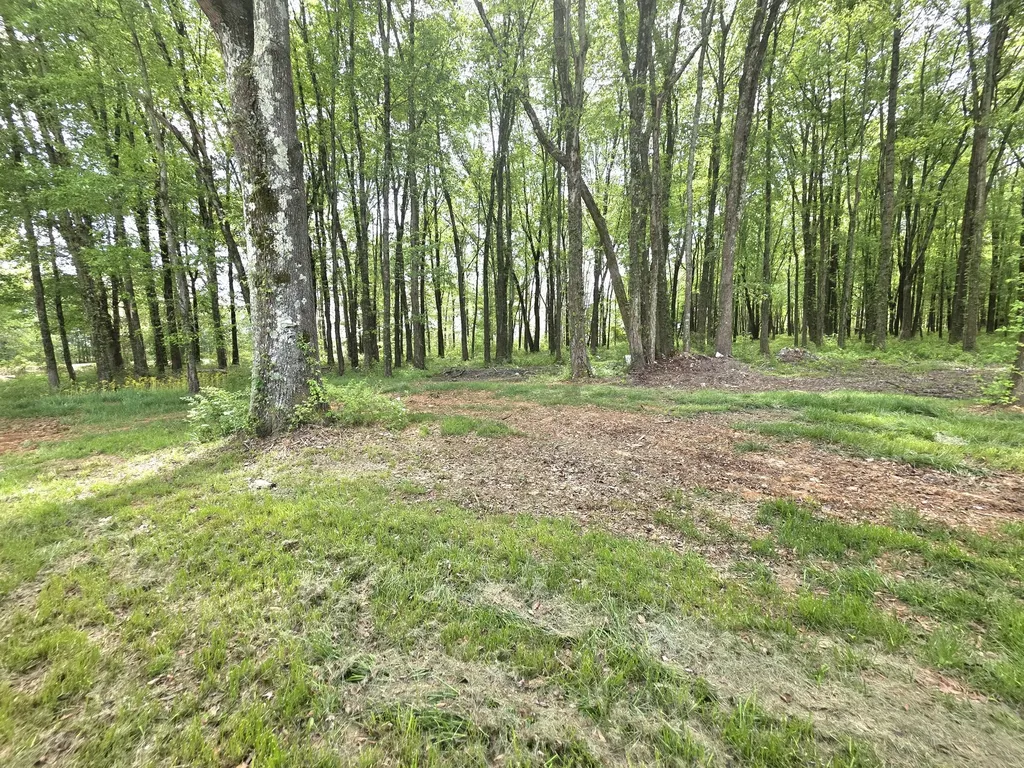 1151 Dry Creek Road Smithville TN 37166